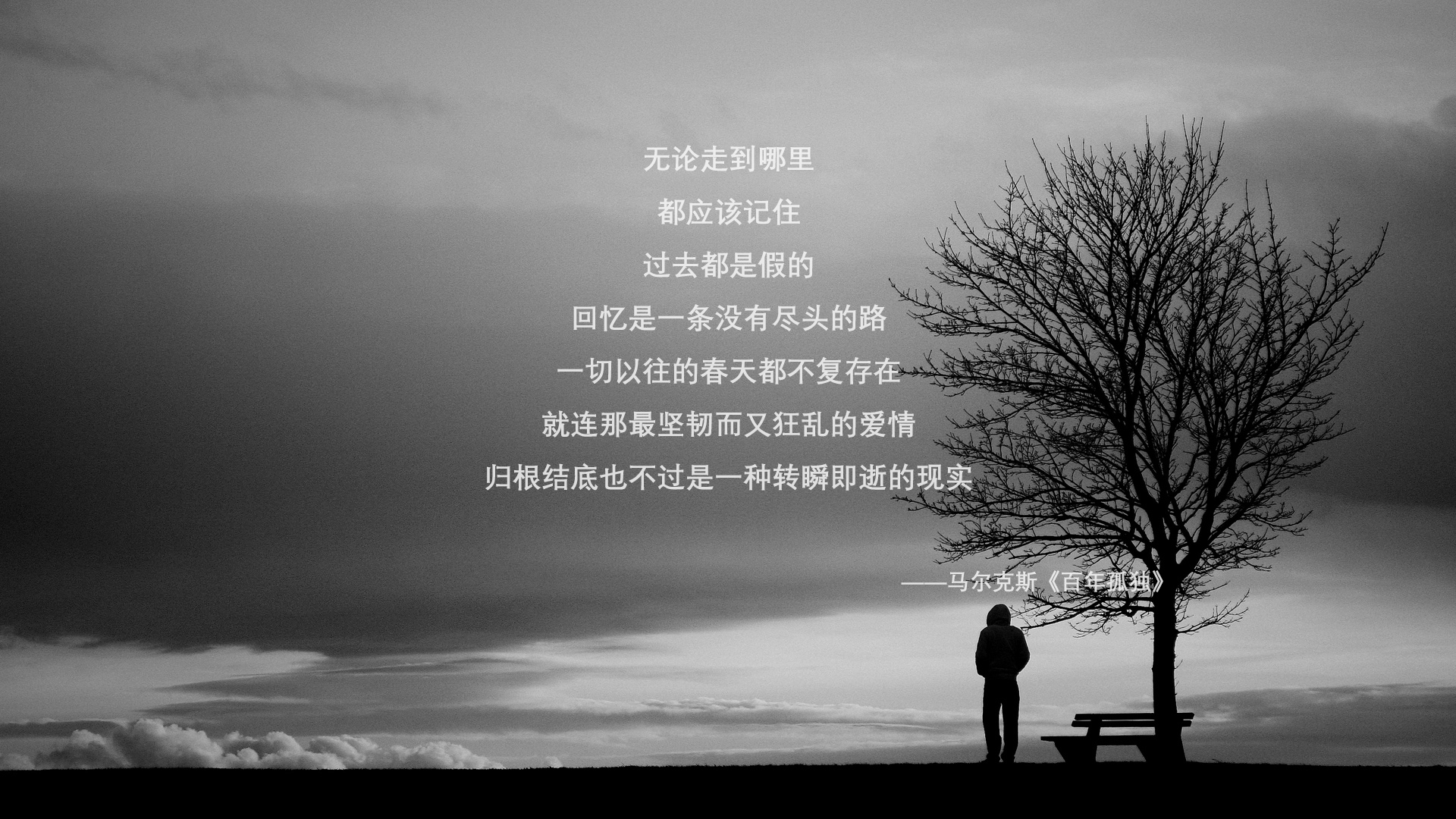 世界举重联赛：训练数据化促进技术调整与成绩提升，世界举重比赛现场视频