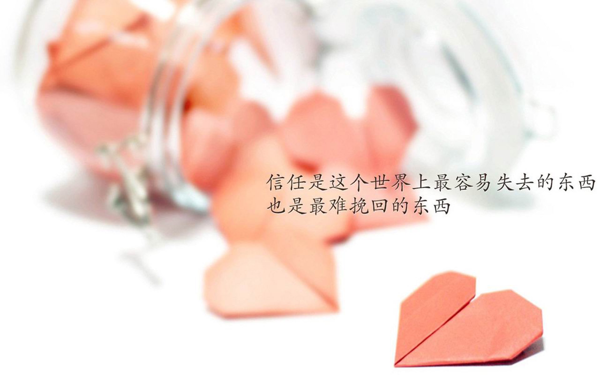 世界乒乓球城市名宿巡讲:名将回访带动基层热情,乒乓世界官方